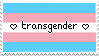 Transgender Flag